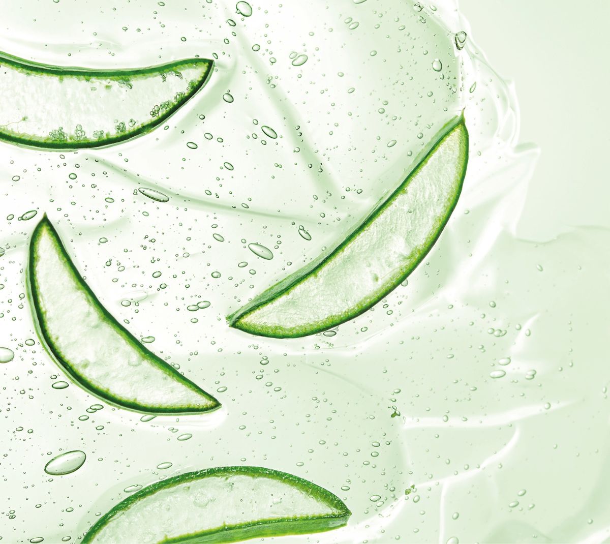 RSBE_SkinBarrier_Aloe-Vera.jpg