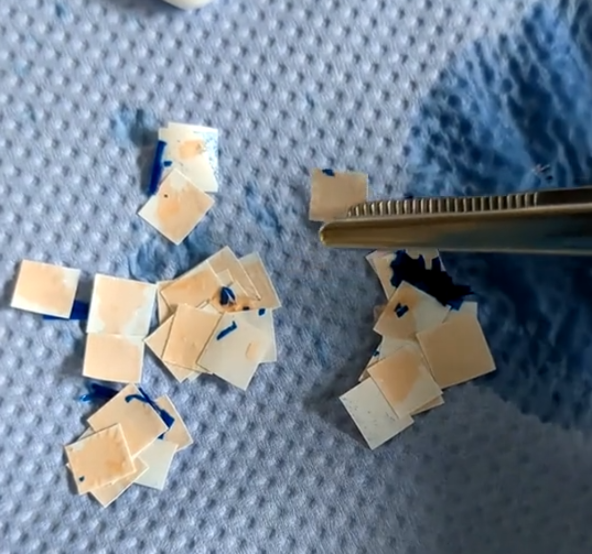 De-inking_Ink-removal-from-plastic-flakes--primer--orange--can-still-be-seen-2.jpg