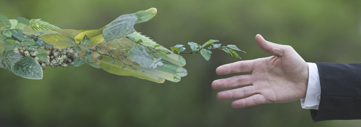 sustainability_corp_energycuring.jpg__3863.0x1364.0_q85_crop_subsampling-2_upscale.jpg