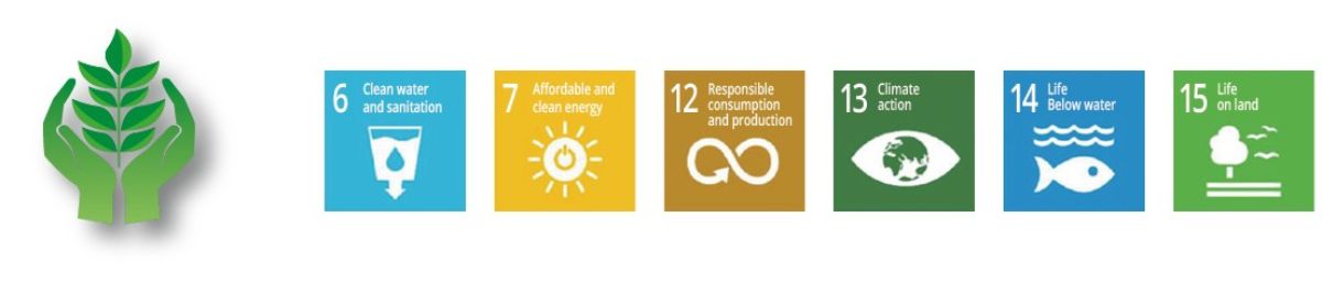 SDG_Environmental.jpg