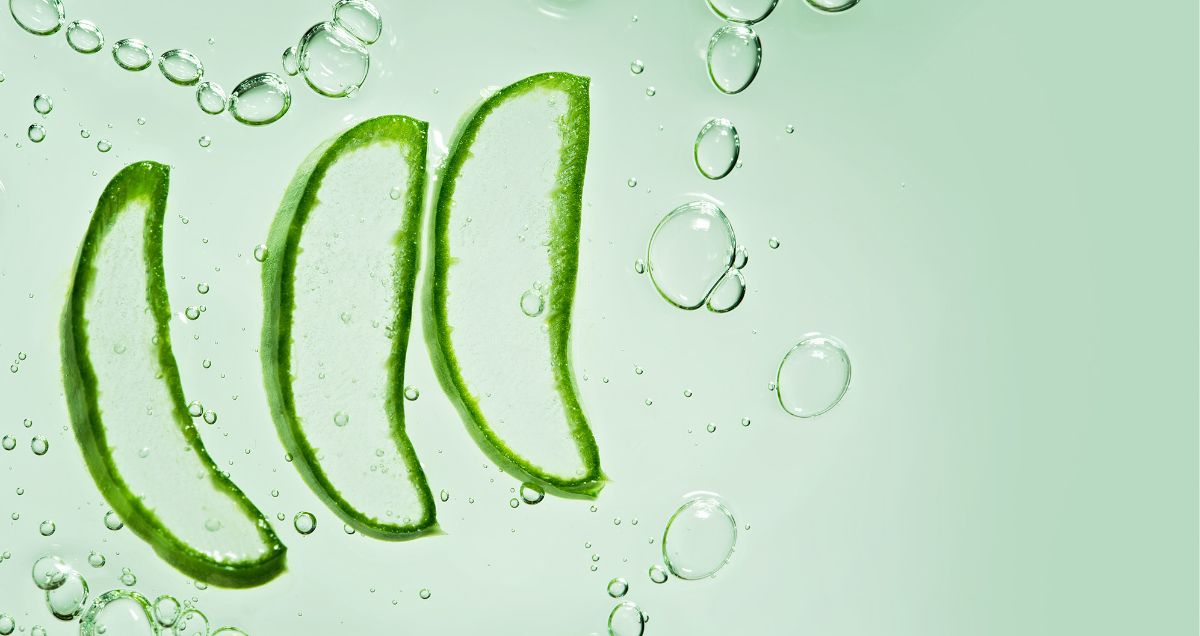 Aloe_2_957x508.jpg
