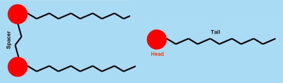 Gemini surfactant vs. traditional surfactant