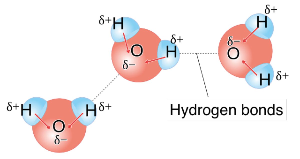 Oil-Polarity_2_957x508px.jpg