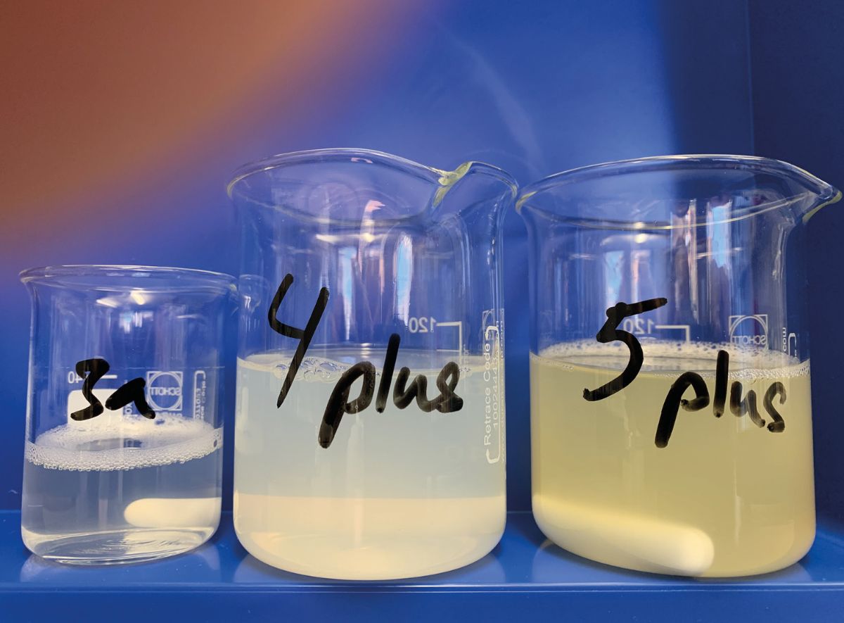 Sample 3a highlights the superior Sytenol A solubilization performance of Symbiosolv Clear Plus in comparison to other solubilizing agents.