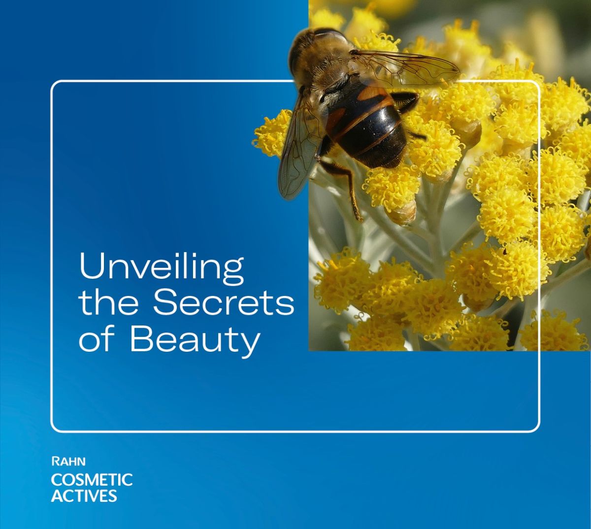 Titelbild_RAHN-Cosmetic-Actives_Final.jpg