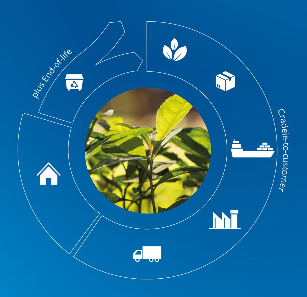 Cosmetagora_SUSTAINABILITY_2025.jpg