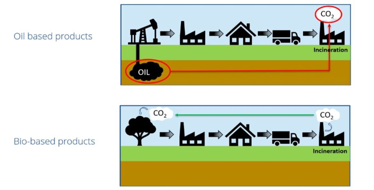 whitepaper-oilbased-vs-biobased.jpg