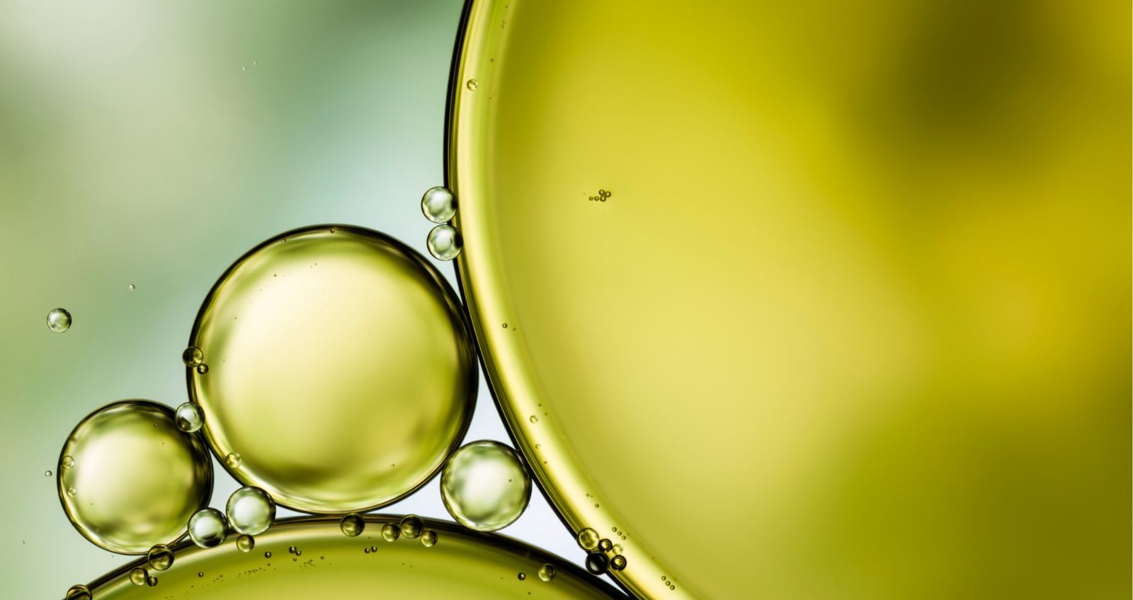 Oil-Polarity_1_957x508px.jpg