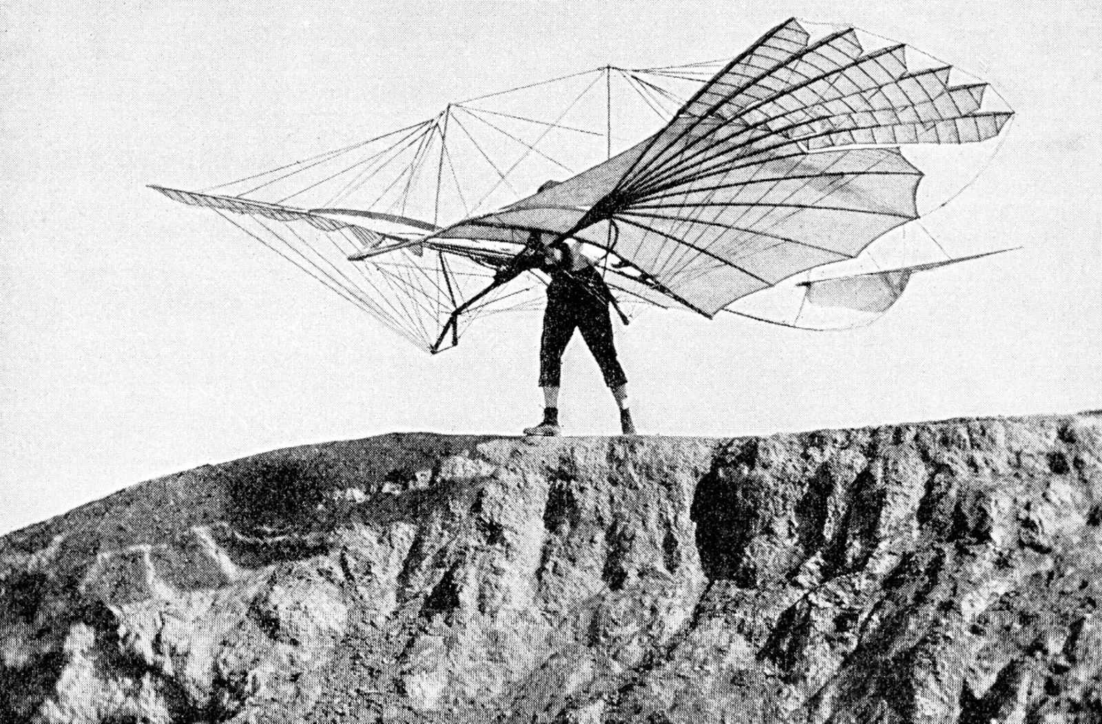 Biomimicry-Flieger_700x460.jpg