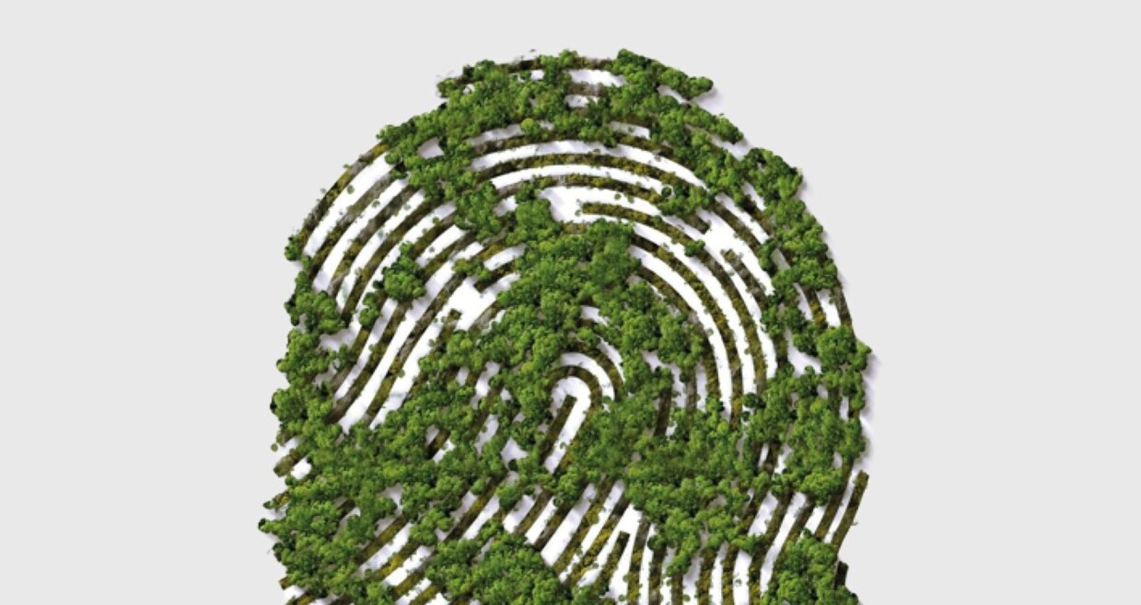 white-paper-biobased-header.jpg