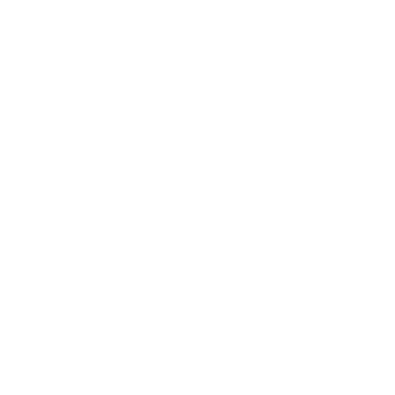 LinkedIn-weiss.png